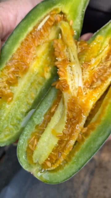 汝南吃瓜视频,揭秘当地特色美食与风土人情 第3张 汝南吃瓜视频,揭秘当地特色美食与风土人情 第3张